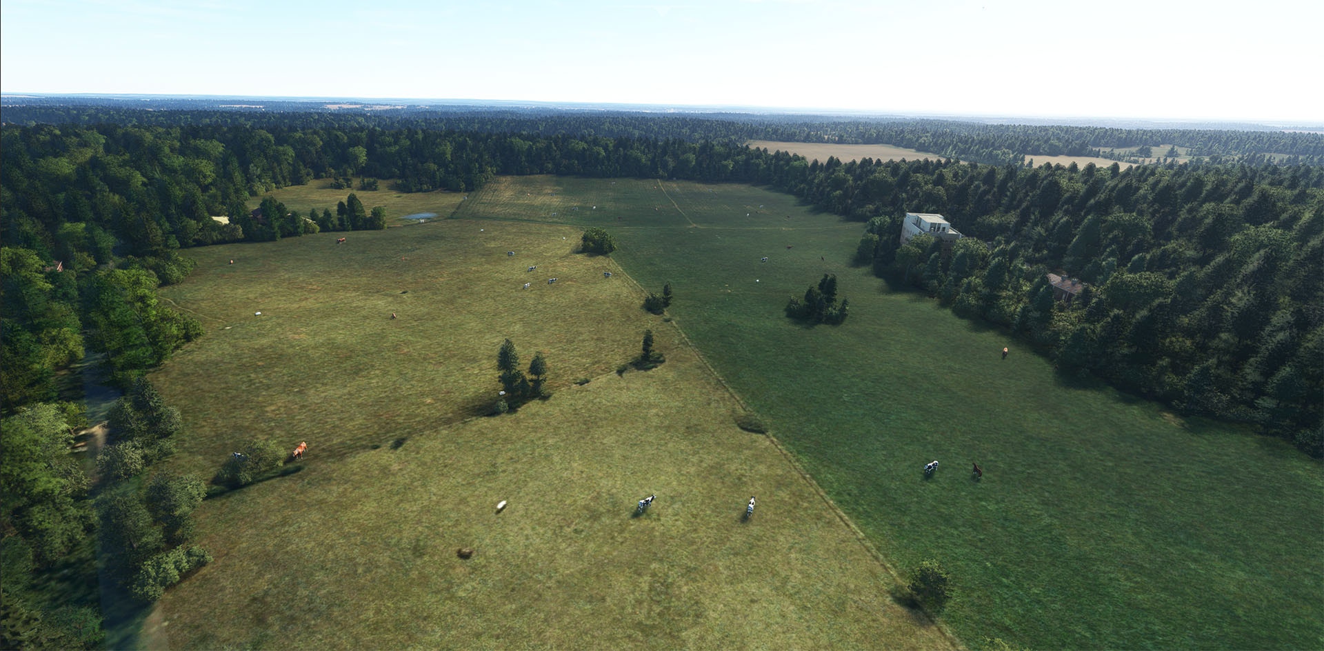 Taburet Releases UK & Ireland Farm Animals for MSFS