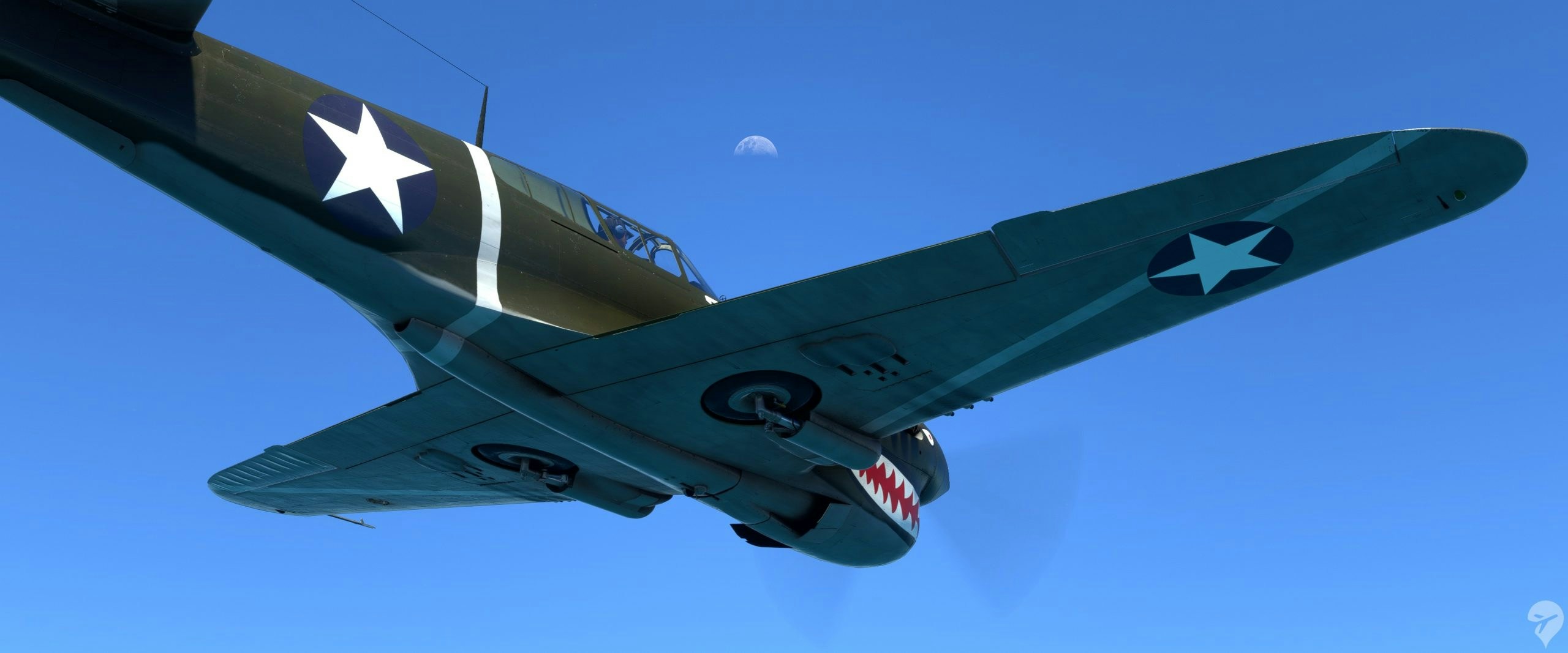 Review: iniBuilds P-40F Warhawk