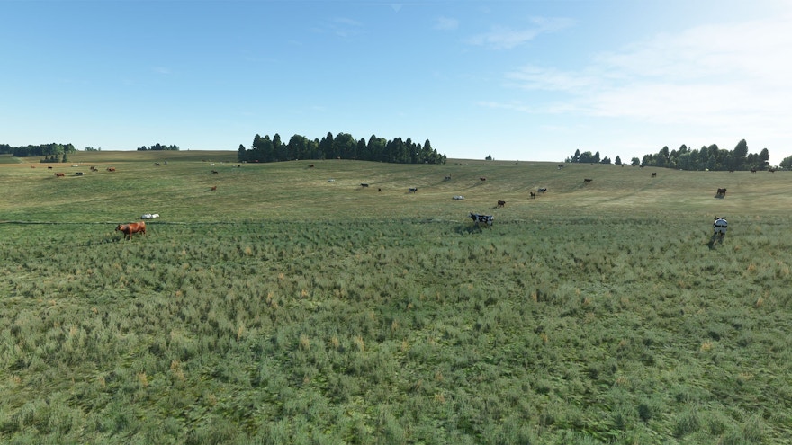 Taburet Releases UK & Ireland Farm Animals for MSFS