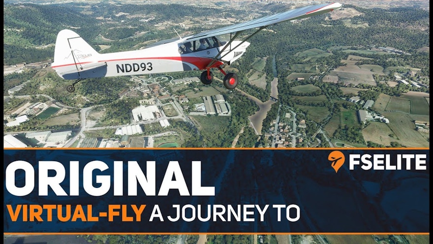 The Journey to Virtual Fly: The FSElite Original