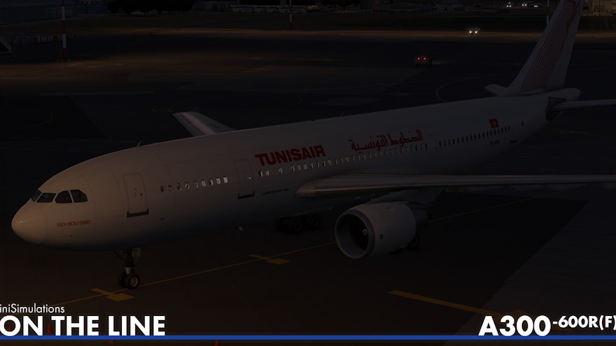 iniSimulations Showcases A300 Passenger Edition