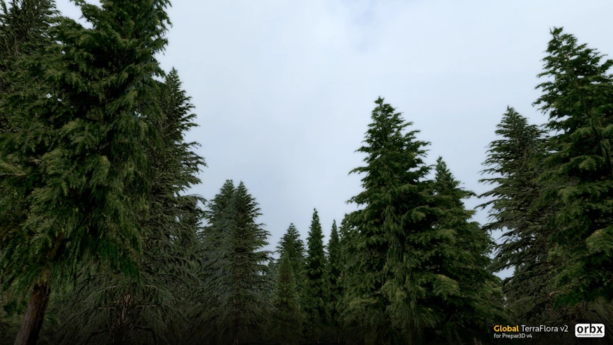 Orbx Announces Global TerraFlora v2 for Prepar3D v4 and v5