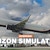 Horizon Simulations