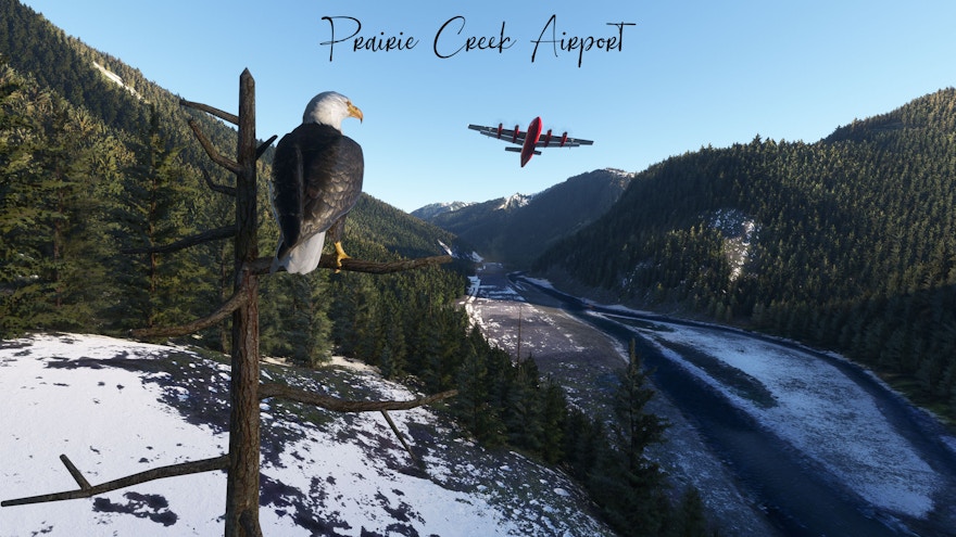 PILOT’S Release Prairie Creek Airport for MSFS