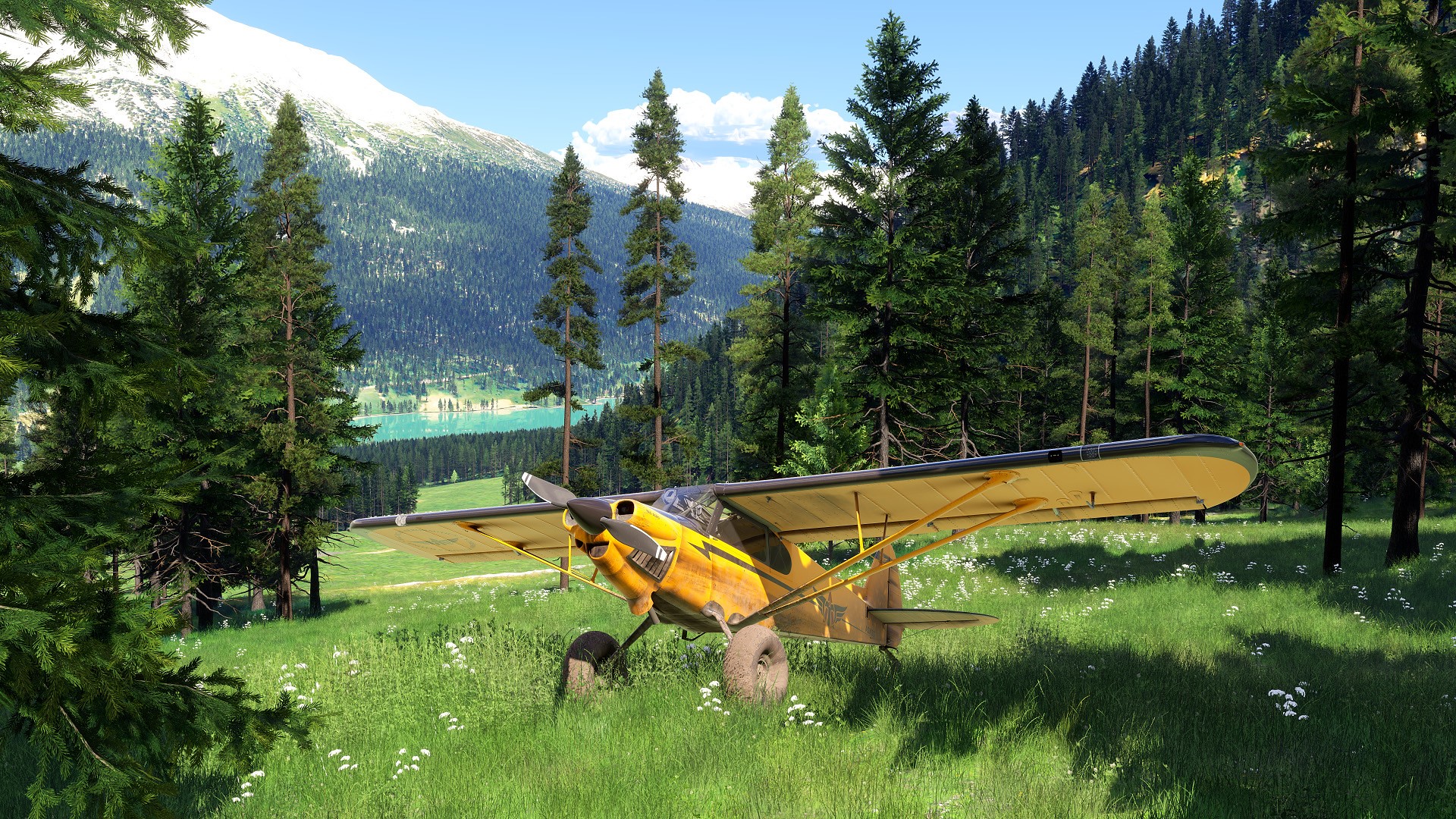 MSFS 2024 for PlayStation